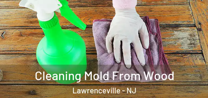  Cleaning Mold From Wood Lawrenceville - NJ
