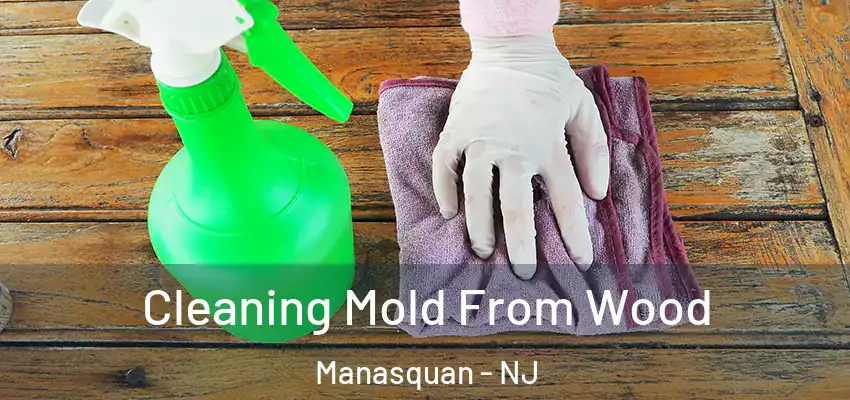  Cleaning Mold From Wood Manasquan - NJ