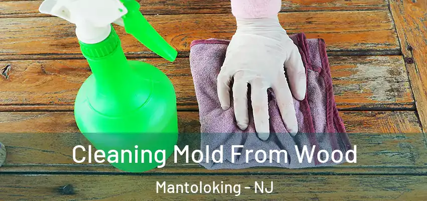  Cleaning Mold From Wood Mantoloking - NJ