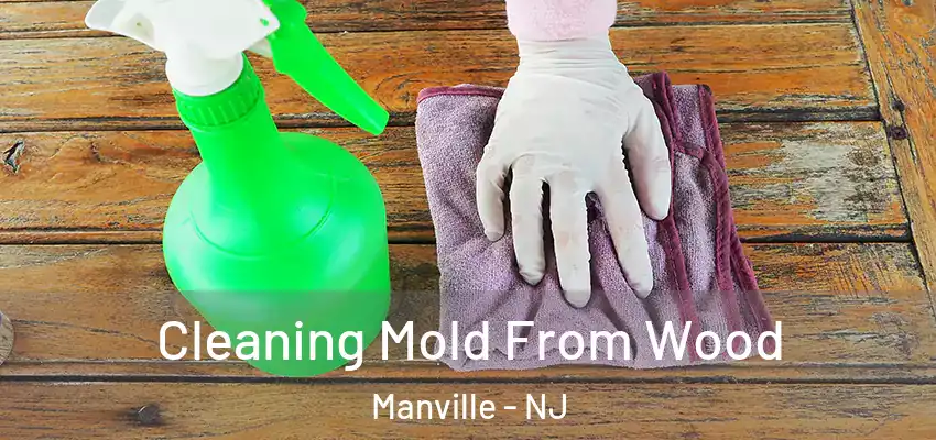 Cleaning Mold From Wood Manville - NJ