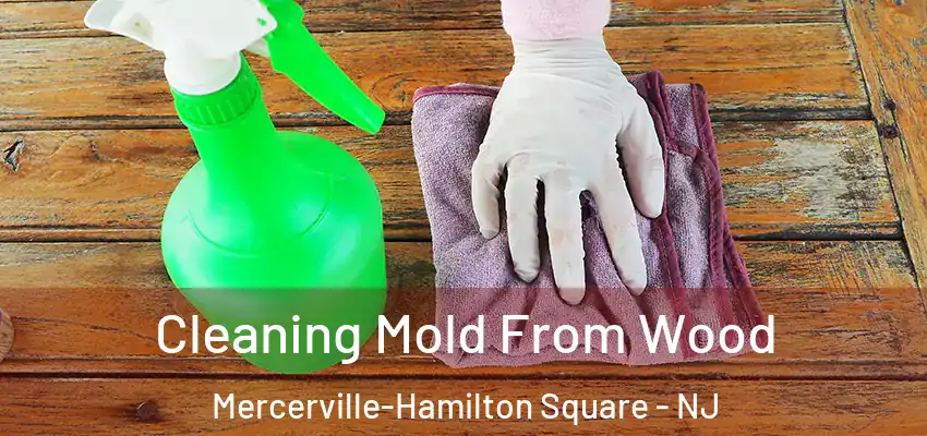 Cleaning Mold From Wood Mercerville-Hamilton Square - NJ