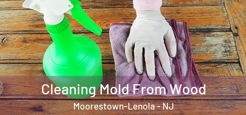 Cleaning Mold From Wood Moorestown-Lenola - NJ