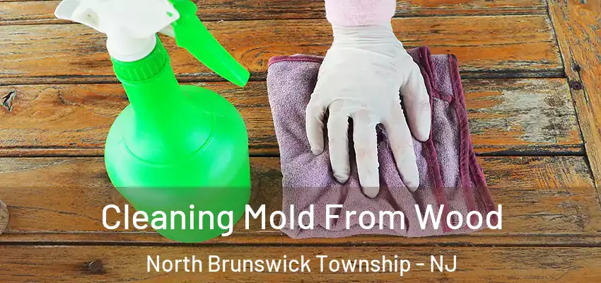 Cleaning Mold From Wood North Brunswick Township - NJ