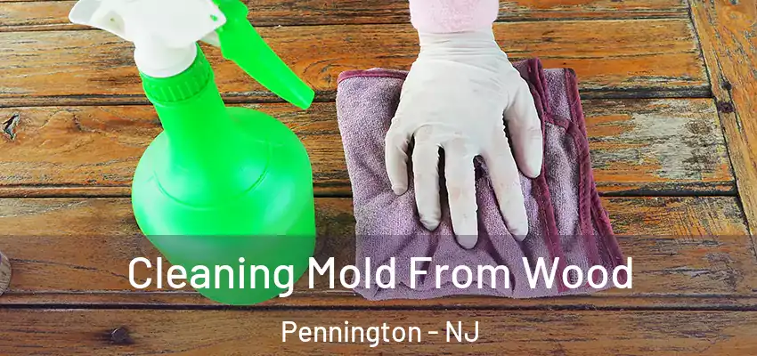 Cleaning Mold From Wood Pennington - NJ