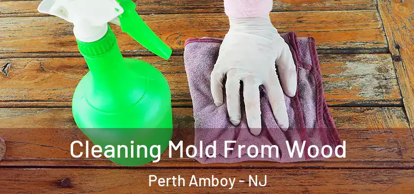  Cleaning Mold From Wood Perth Amboy - NJ