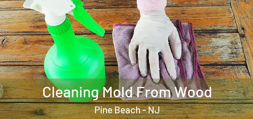  Cleaning Mold From Wood Pine Beach - NJ