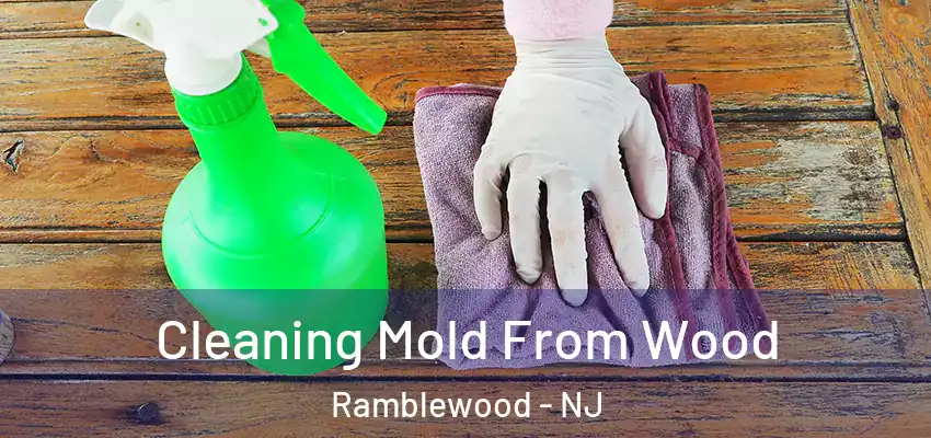 Cleaning Mold From Wood Ramblewood - NJ