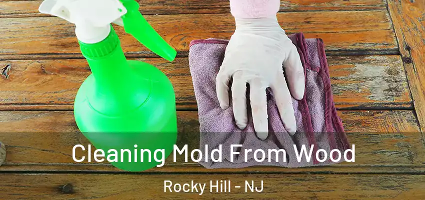  Cleaning Mold From Wood Rocky Hill - NJ