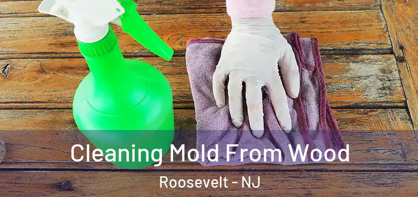  Cleaning Mold From Wood Roosevelt - NJ