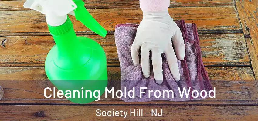  Cleaning Mold From Wood Society Hill - NJ