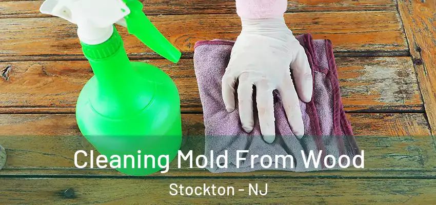 Cleaning Mold From Wood Stockton - NJ