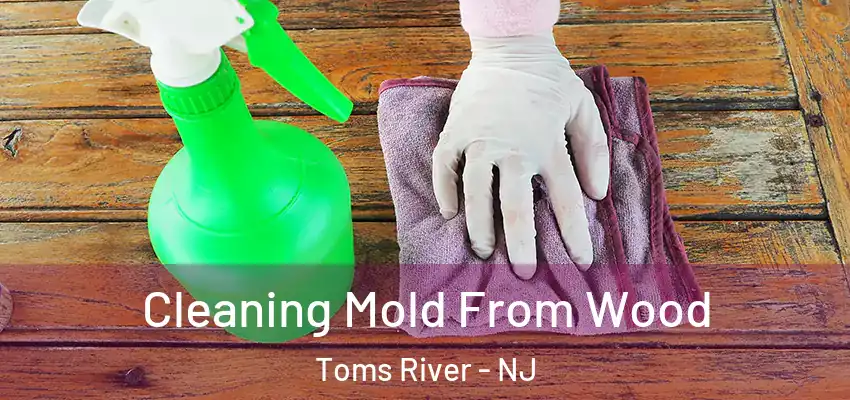  Cleaning Mold From Wood Toms River - NJ