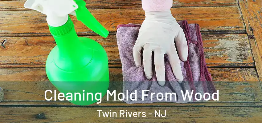 Cleaning Mold From Wood Twin Rivers - NJ