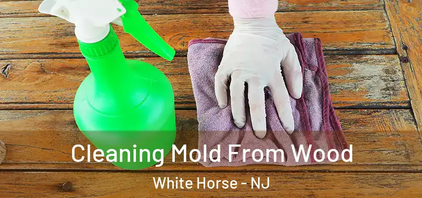 Cleaning Mold From Wood White Horse - NJ