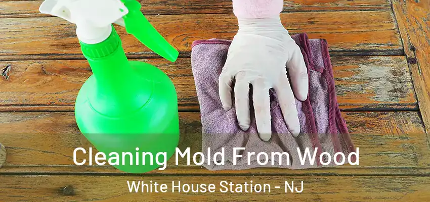  Cleaning Mold From Wood White House Station - NJ
