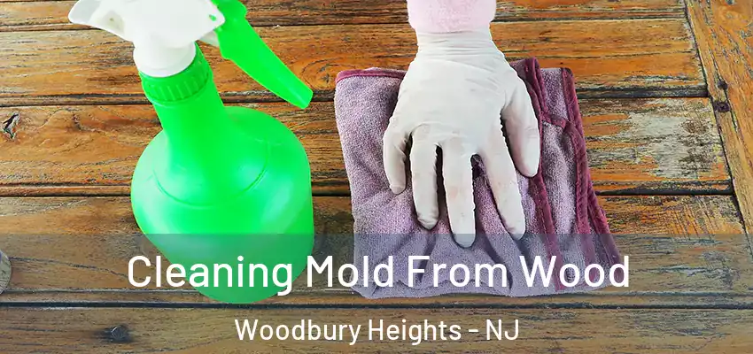 Cleaning Mold From Wood Woodbury Heights - NJ