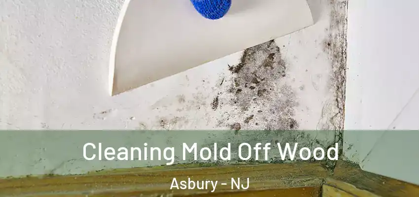 Cleaning Mold Off Wood Asbury - NJ