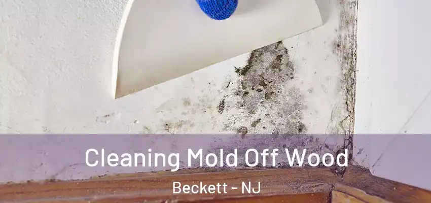 Cleaning Mold Off Wood Beckett - NJ