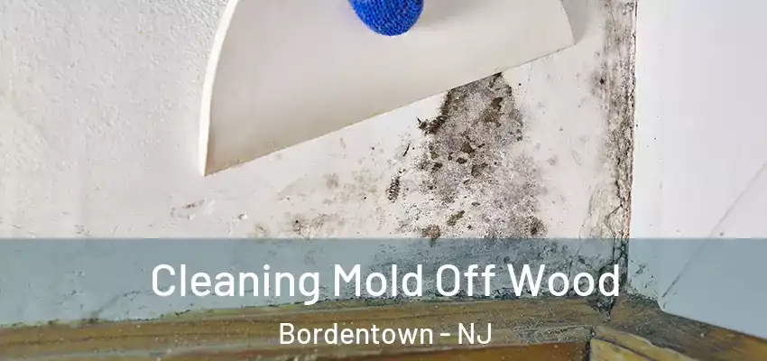 Cleaning Mold Off Wood Bordentown - NJ
