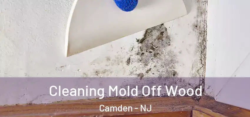 Cleaning Mold Off Wood Camden - NJ