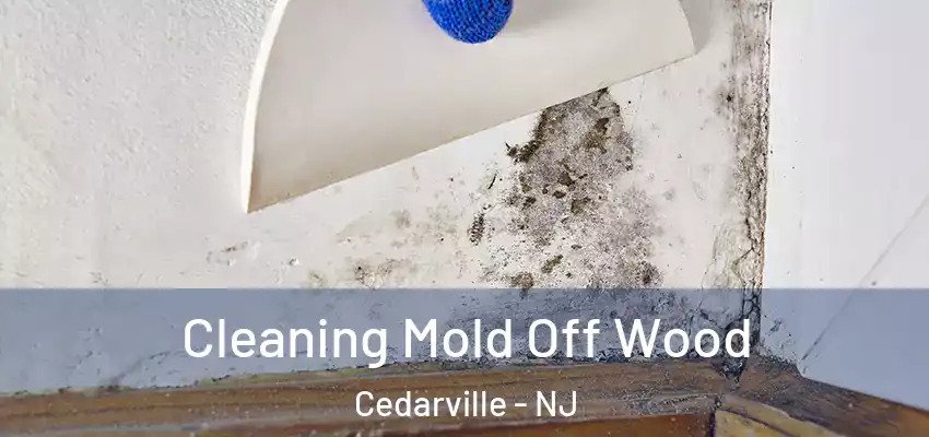 Cleaning Mold Off Wood Cedarville - NJ