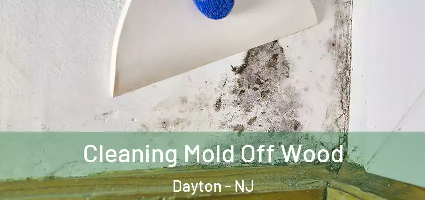 Cleaning Mold Off Wood Dayton - NJ