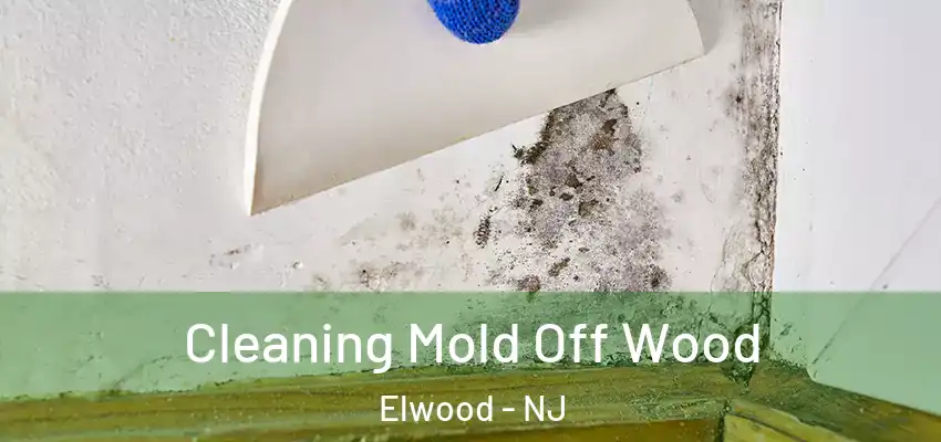 Cleaning Mold Off Wood Elwood - NJ