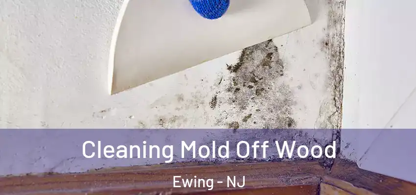  Cleaning Mold Off Wood Ewing - NJ