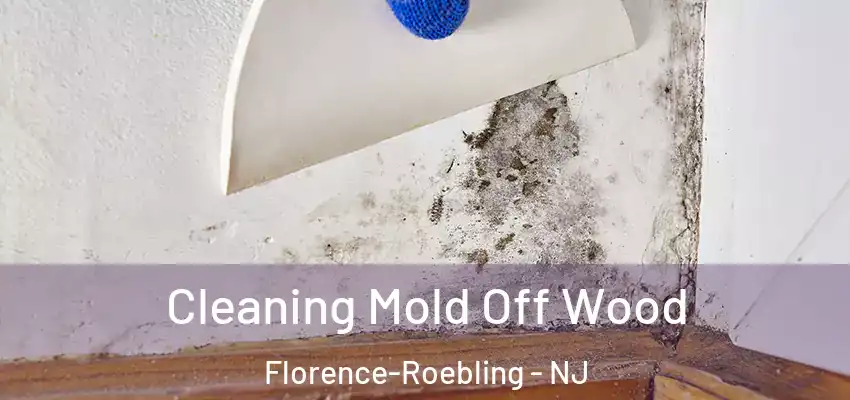 Cleaning Mold Off Wood Florence-Roebling - NJ