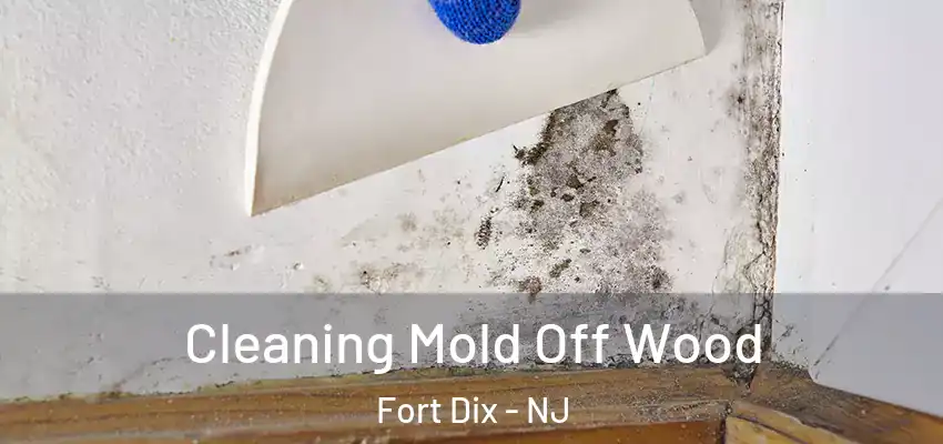 Cleaning Mold Off Wood Fort Dix - NJ
