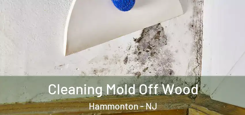  Cleaning Mold Off Wood Hammonton - NJ