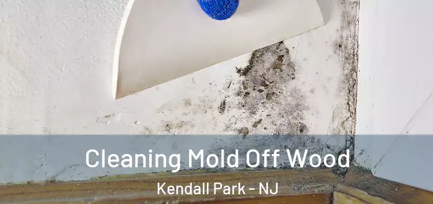  Cleaning Mold Off Wood Kendall Park - NJ