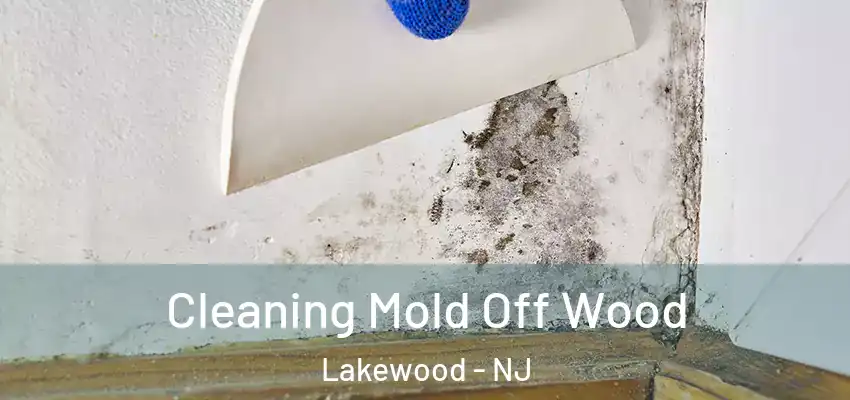  Cleaning Mold Off Wood Lakewood - NJ