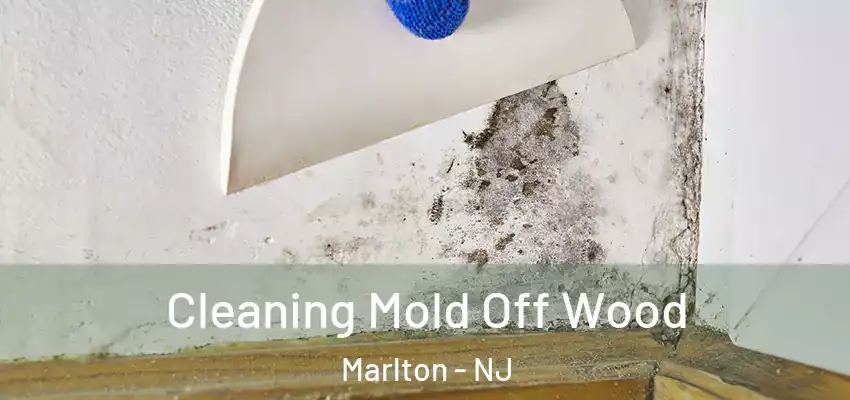Cleaning Mold Off Wood Marlton - NJ