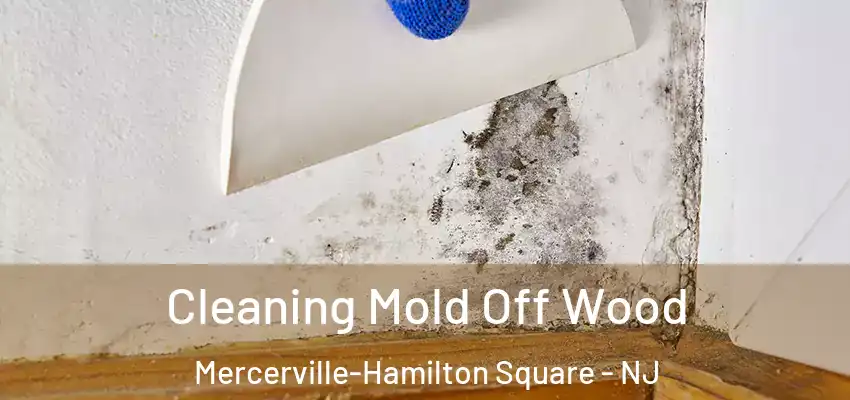  Cleaning Mold Off Wood Mercerville-Hamilton Square - NJ