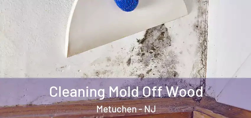 Cleaning Mold Off Wood Metuchen - NJ