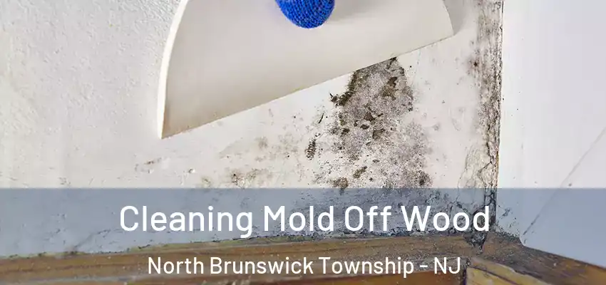 Cleaning Mold Off Wood North Brunswick Township - NJ