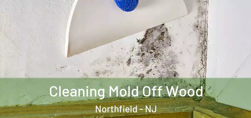 Cleaning Mold Off Wood Northfield - NJ