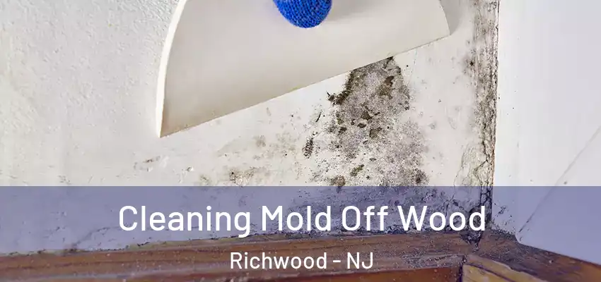 Cleaning Mold Off Wood Richwood - NJ
