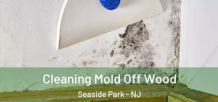  Cleaning Mold Off Wood Seaside Park - NJ