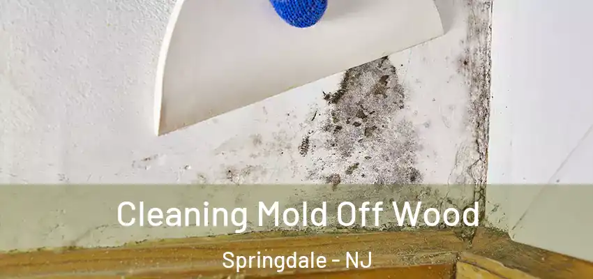  Cleaning Mold Off Wood Springdale - NJ