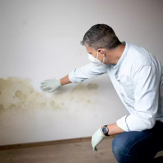 Trusted Mold Remediation and Removal Experts in Camden, NJ