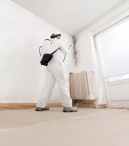 Specialists in All Areas of Mold Remediation and Water Damage Restoration in Camden, NJ