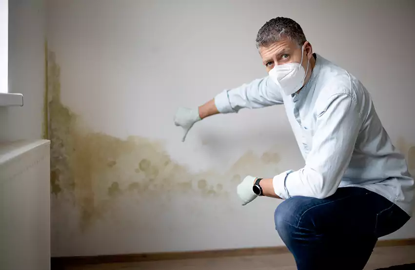 Mold Removal in Camden, NJ