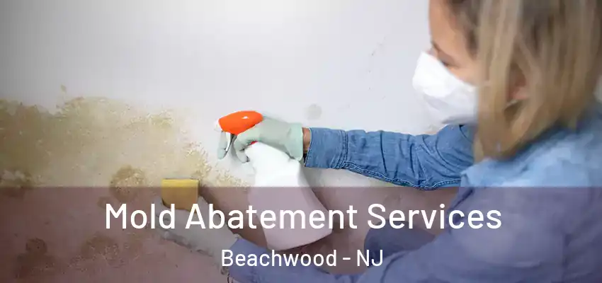  Mold Abatement Services Beachwood - NJ
