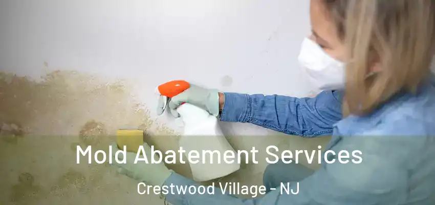 Mold Abatement Services Crestwood Village - NJ