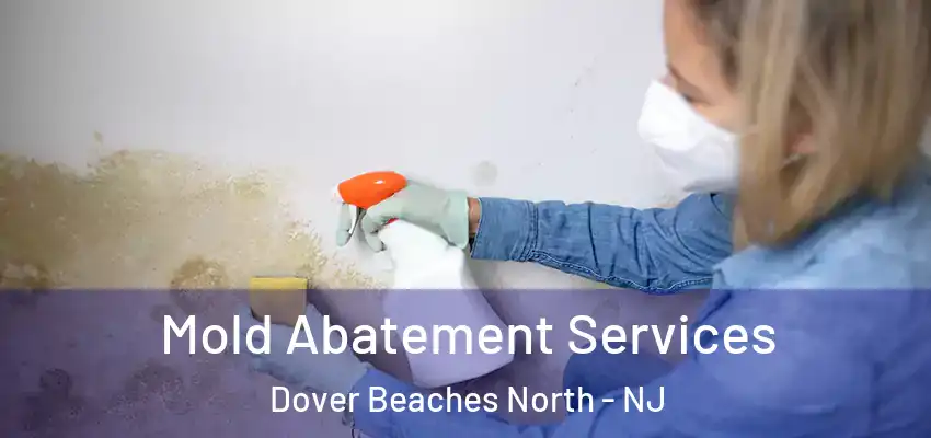 Mold Abatement Services Dover Beaches North - NJ