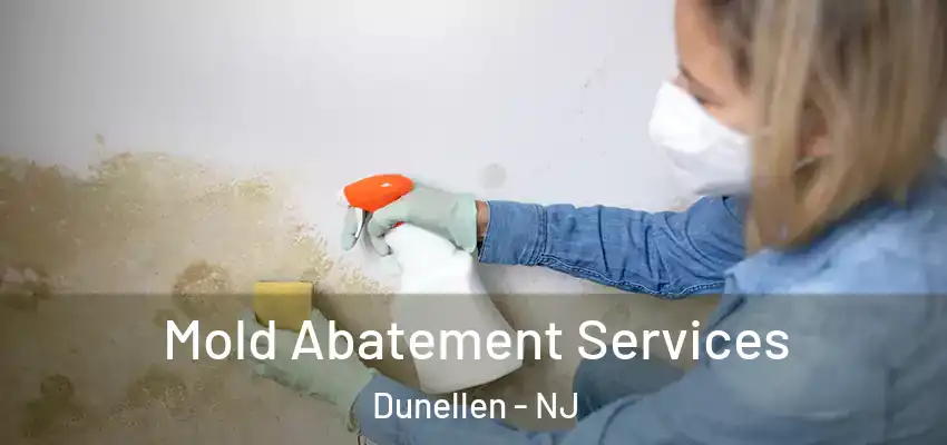  Mold Abatement Services Dunellen - NJ