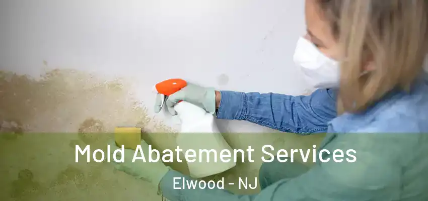 Mold Abatement Services Elwood - NJ
