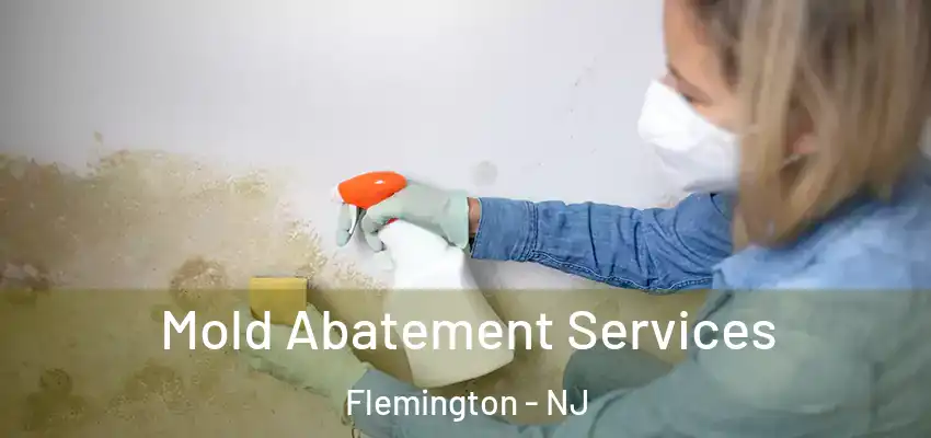  Mold Abatement Services Flemington - NJ